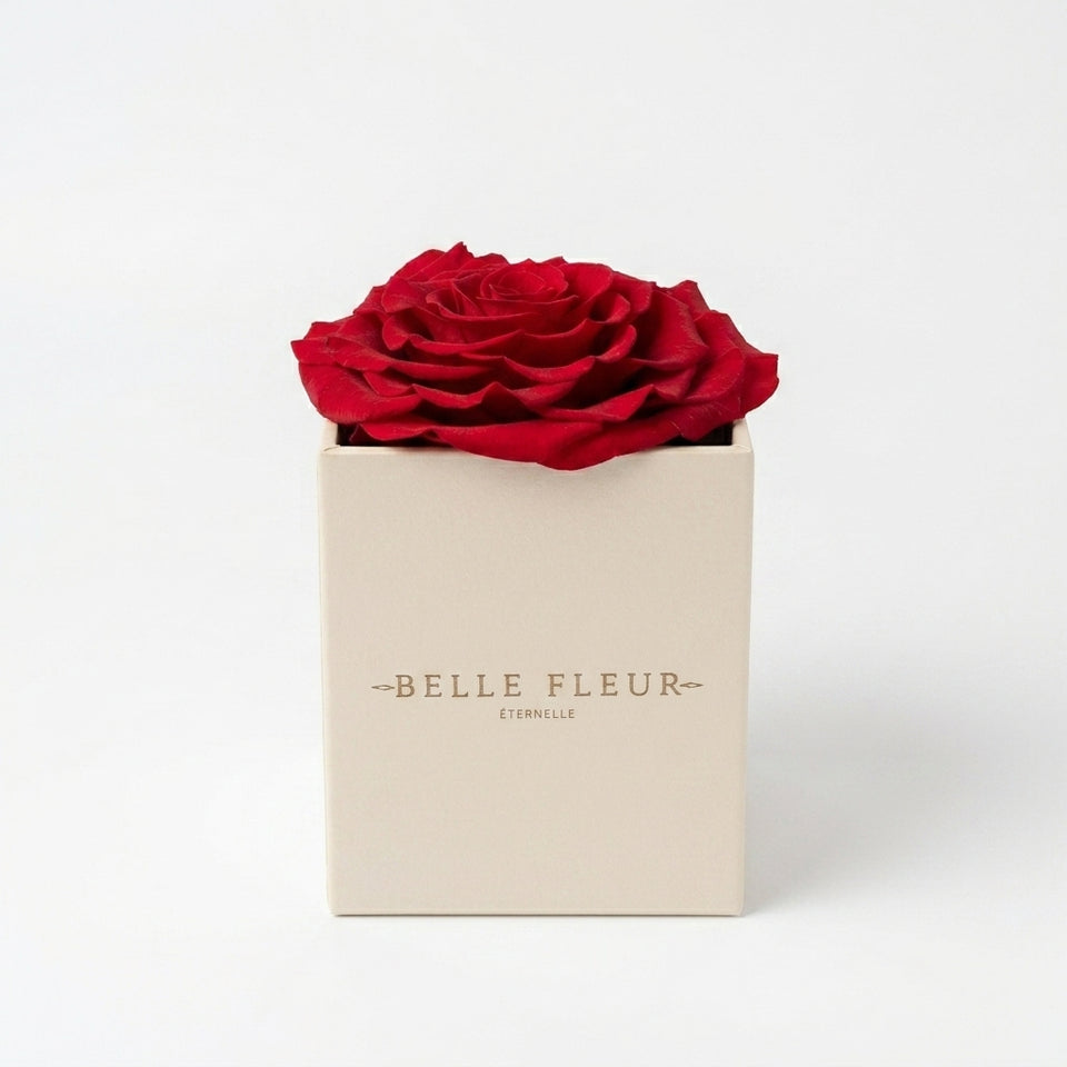 Cajas de rosas blancas La Jolie Blanca RED02 de BELLE FLEUR ECUADOR, presentación elegante y floral en la foto.