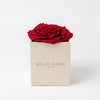 Cajas de rosas blancas La Jolie Blanca RED02 de BELLE FLEUR ECUADOR, presentación elegante y floral en la foto.