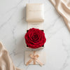 Cajas de rosas La Jolie Blanca RED02 de BELLE FLEUR ECUADOR, mostradas en una sesión fotográfica con flores blancas y cajas elegantes.