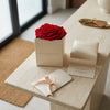 Cajas de rosas blancas La Jolie Blanca RED02 de BELLE FLEUR ECUADOR, elegante presentación en imagen de sesión fotográfica