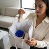 Cajas de rosas La Jolie Blanca BLUE de BELLE FLEUR ECUADOR, con elegantes rosas blancas y detalles en azul, en una sesión de fotos.