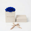 Caja de rosas La Jolie Blanca BLUE de BELLE FLEUR ECUADOR, con flores frescas y elegantes, en un arreglo decorativo.