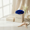 Cajas de rosas La Jolie Blanca BLUE de BELLE FLEUR ECUADOR, decoradas con rosas blancas y detalles en azul, en un estilo elegante.