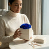 Cajas de rosas La Jolie Blanca Blue de BELLE FLEUR ECUADOR, elegantes y decorativas para flores frescas.