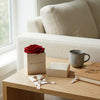 Cajas de rosas La Jolie Blanca RED01 de BELLE FLEUR ECUADOR, con rosas blancas en una elegante caja.