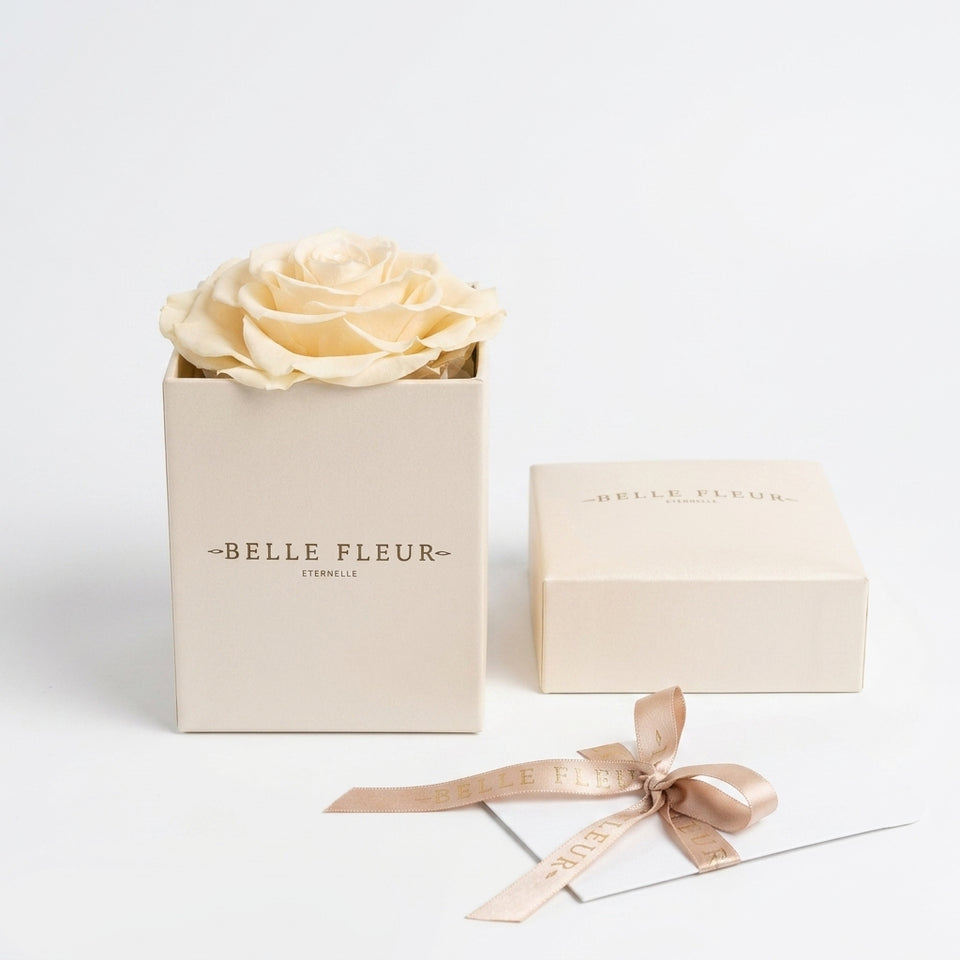 Cajas de rosas blancas y beige La Jolie Blanca BEIGE de BELLE FLEUR ECUADOR en una sesión de fotos.