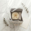 Cajas de rosas La Jolie Blanca Beige de la marca Belle Fleur Ecuador, con diseño elegante y colores suaves.