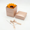 Cajas de rosas Le Tournesol Rosé de BELLE FLEUR ECUADOR con rosas rosadas en un diseño elegante.
