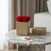 Cajas de rosas La Mini Dorada RED de BELLE FLEUR ECUADOR, con flores rojas en una elegante caja de rosas.
