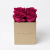 Cajas de rosas La Mini Dorada PINK 2 de BELLE FLEUR ECUADOR, con flores rosadas en una elegante caja de regalo.