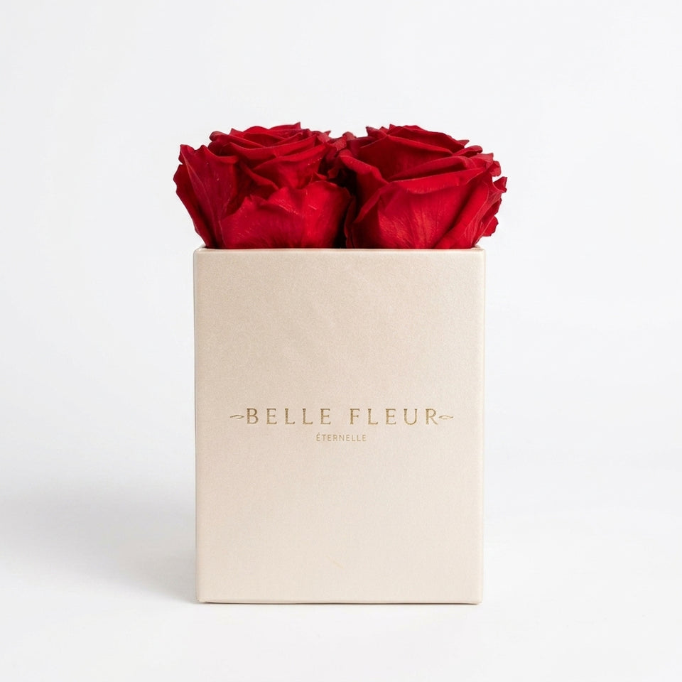 Cajas de rosas Mini Blanca RED de BELLE FLEUR ECUADOR, elegante presentación en caja de flores.