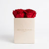 Cajas de rosas Mini Blanca RED de BELLE FLEUR ECUADOR, elegante presentación en caja de flores.